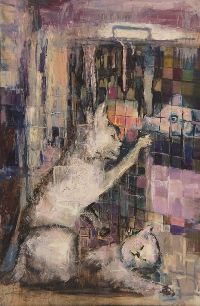 تصویر گربه در حسرت