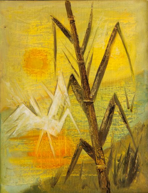 تصویر نیزار