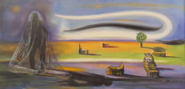 تصویر وای جنگل را بیابان می کنند