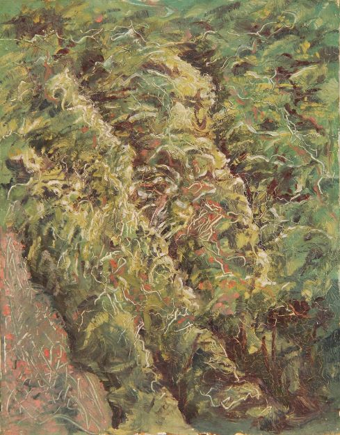 تصویر طبیعت