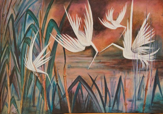 تصویر لک لک ها 