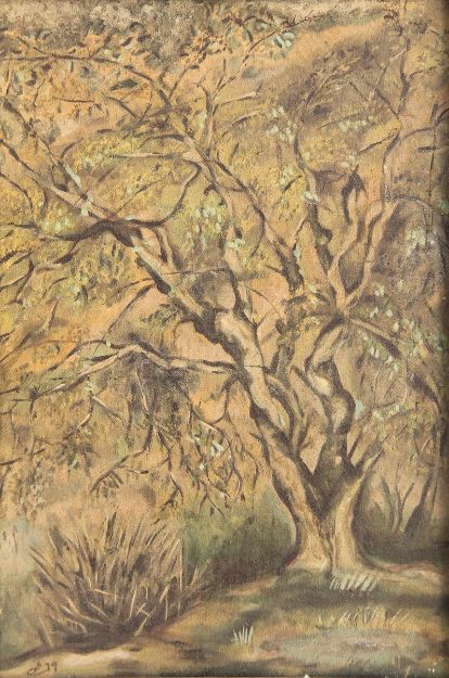 تصویر نقاشی 41